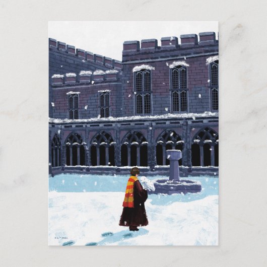 HARRY POTTER™ & Hedwig in HOGWARTS™ Hof Postkarte (Vorderseite)