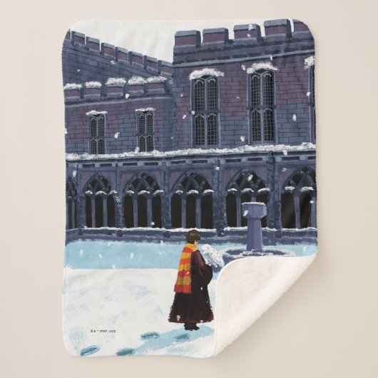 HARRY POTTER™ & Hedwig in HOGWARTS™ Hof Sherpadecke (Vorderseite)