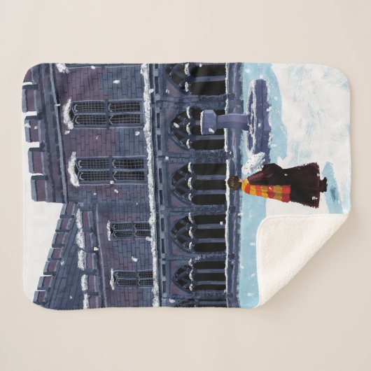HARRY POTTER™ & Hedwig in HOGWARTS™ Hof Sherpadecke (Vorderseite (Horizontal))