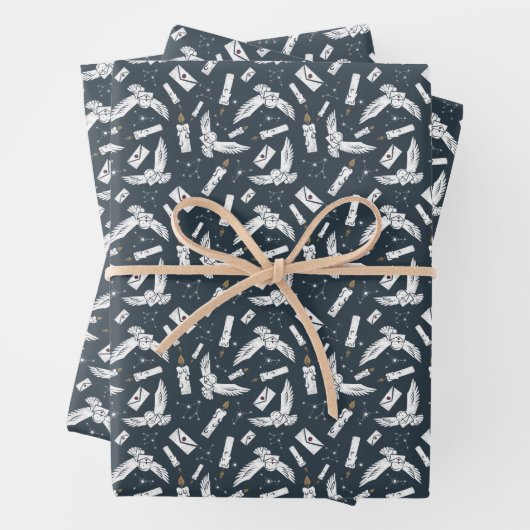 HARRY POTTER™ Hedwig Lieferantenmuster Geschenkpapier Set (Beispiel)