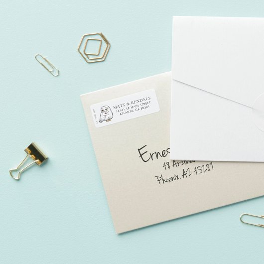 Harry Potter | Hedwig Special Delivery Baby Dusche