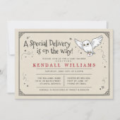 Harry Potter | Hedwig Special Delivery Baby Shower (Vorderseite)