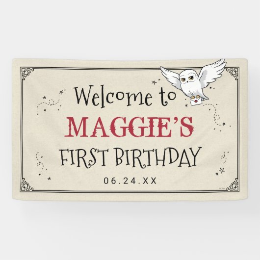 Harry Potter | Hedwig Special Delivery Birthday Banner (Horizontal)