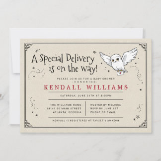 Harry Potter | Hedwig Spezial-Lieferung Baby Showe