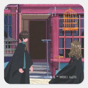 HARRY POTTER™ & Hermione bei Eeylops Owl Emporium Quadratischer Aufkleber