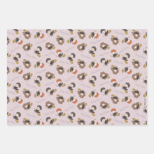 HARRY POTTER™, Hermione & Ron Flying Pattern Geschenkpapier Set (Vorderseite 2)