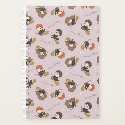 HARRY POTTER™, Hermione & Ron Flying Pattern Planer (Vorderseite)