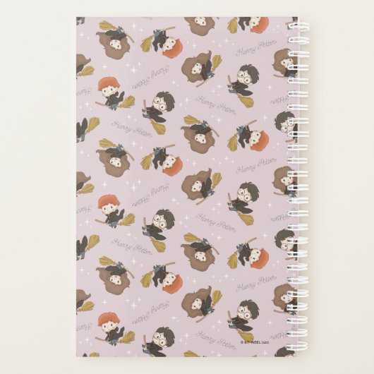 HARRY POTTER™, Hermione & Ron Flying Pattern Planer (Rückseite)