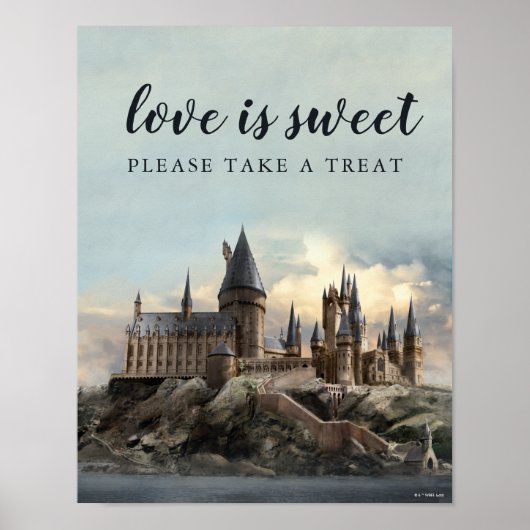 Harry-Potter-Hochzeitsempfang Bitte nehmen Sie ein Poster (Vorne)