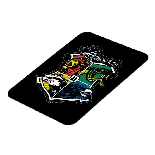 HARRY POTTER™ | HOGWARTS™ Athletisches Abzeichen Magnet (Linke Seite)