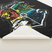 HARRY POTTER™ | HOGWARTS™ Athletisches Abzeichen Sherpadecke (3/4)