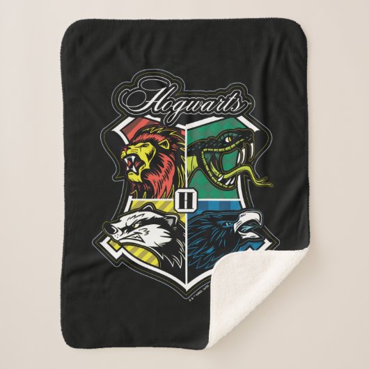 HARRY POTTER™ | HOGWARTS™ Athletisches Abzeichen Sherpadecke (Vorderseite)