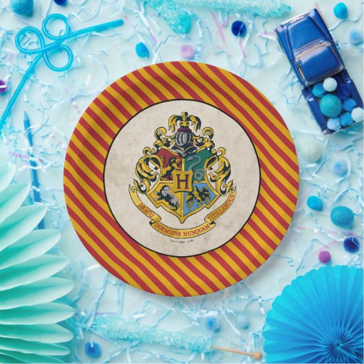 Harry Potter | Hogwarts Birthday Pappteller (Party)