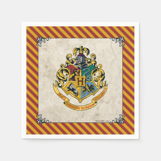 Harry Potter | Hogwarts Birthday Serviette (Vorderseite)