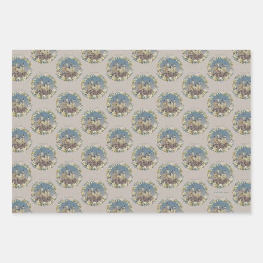 HARRY POTTER™ | HOGWARTS™ CASTLE GESCHENKPAPIER SET (Vorderseite 3)