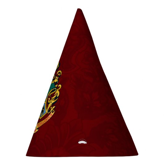 Harry Potter | Hogwarts Crest Partyhütchen (Rechts)