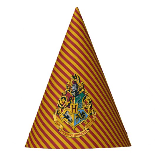 Harry Potter | Hogwarts Geburtstag Partyhütchen (Vorderseite)