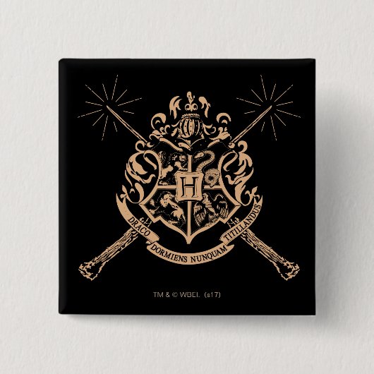 Harry Potter | Hogwarts gekreuzte Wandschilde Button (Vorderseite)