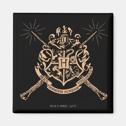 Harry Potter | Hogwarts gekreuzte Wandschilde Magnet (Vorne)