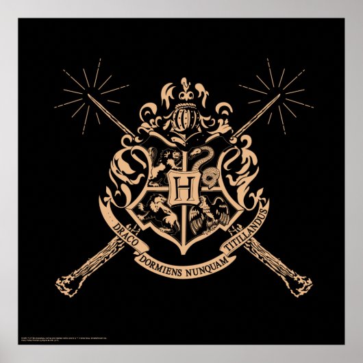Harry Potter | Hogwarts gekreuztes Wands-Wappen Poster (Vorne)