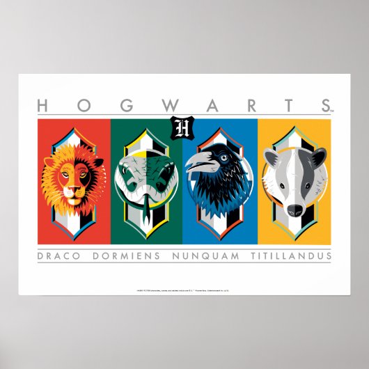 Harry Potter | HOGWARTS™ House Sigils Poster (Vorne)