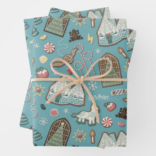 HARRY POTTER™ HOGWARTS™ Weihnachtskochtmuster Geschenkpapier Set (Beispiel)