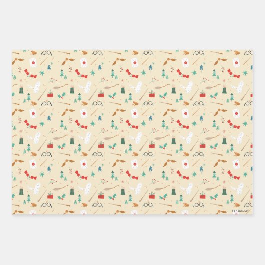 Harry Potter | Holiday Icon Muster Geschenkpapier Set (Vorderseite 2)