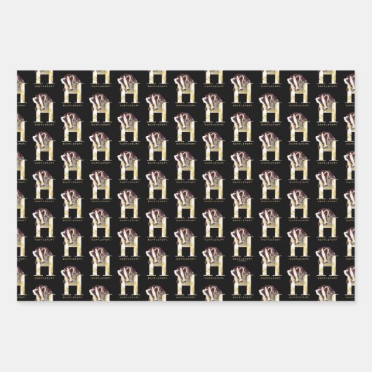 Harry Potter | HUFFLEPUFF™ Badger Geschenkpapier Set (Vorderseite)