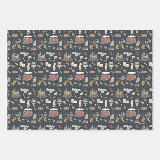 HARRY POTTER™ | Icons Muster Geschenkpapier Set (Vorderseite 3)