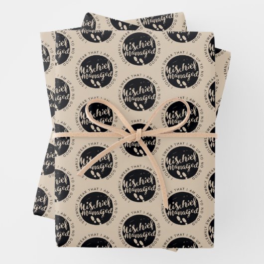 Harry Potter | Marauder's Map Charms Typografy Geschenkpapier Set (Beispiel)