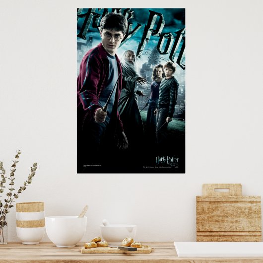 Harry Potter mit Dumbledore Ron und Hermione 1 Poster (Küche)