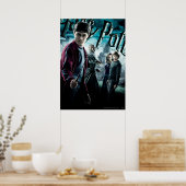 Harry Potter mit Dumbledore Ron und Hermione 1 Poster (Küche)
