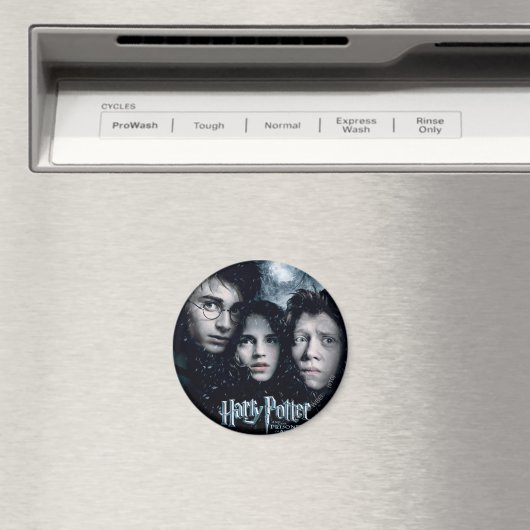 Harry Potter Movie Poster Magnet (In Situ (Geschirrspüler))