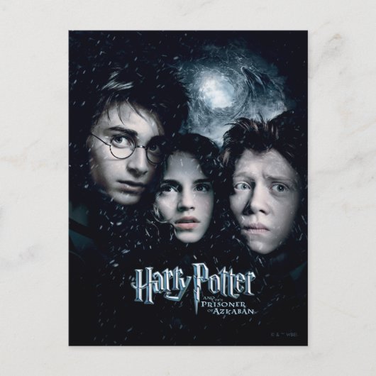 Harry Potter Movie Poster Postkarte (Vorderseite)