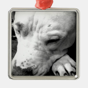 Harry Potter Narbe Hund weißer Pit Bull Ornament Aus Metall