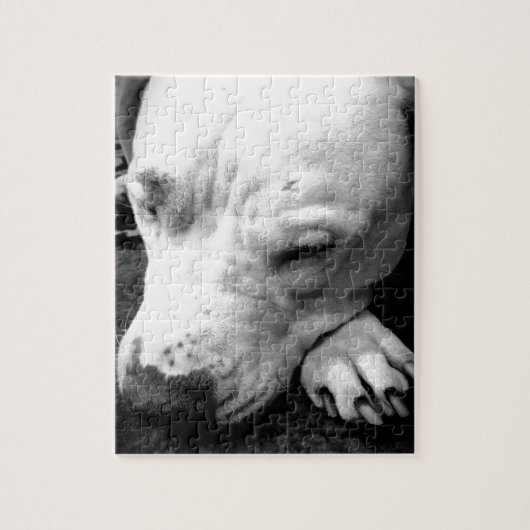 Harry Potter Narbe Hund weißer Pit Bull Puzzle (Vertikal)