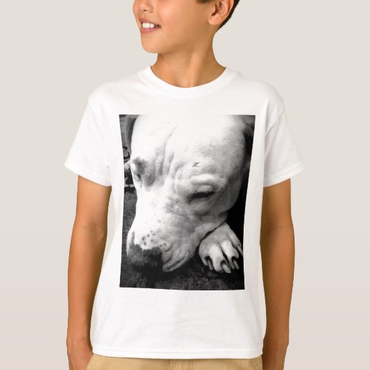 Harry Potter Narbe Hund weißer Pit Bull T-Shirt (Vorderseite)