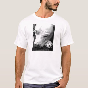 Harry Potter Narbe Hund weißer Pit Bull T-Shirt