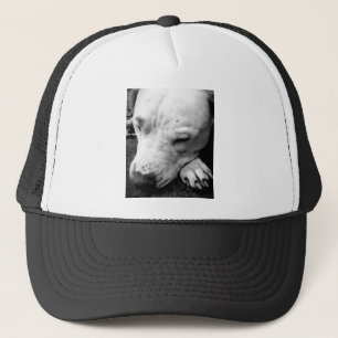 Harry Potter Narbe Hund weißer Pit Bull Truckerkappe