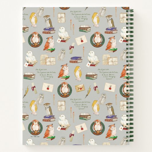HARRY POTTER™ | Owl Letter Pattern Notizblock (Rückseite)