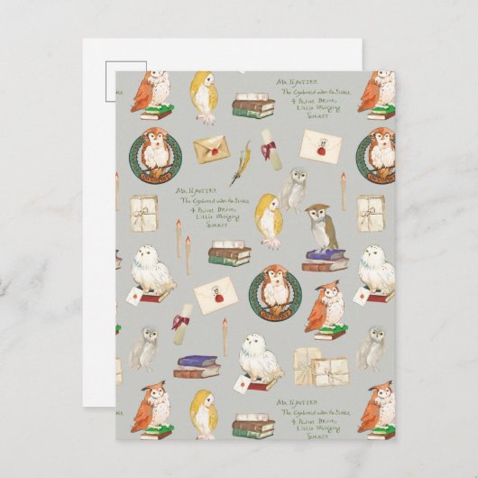 HARRY POTTER™ | Owl Letter Pattern Postkarte (Vorne/Hinten)
