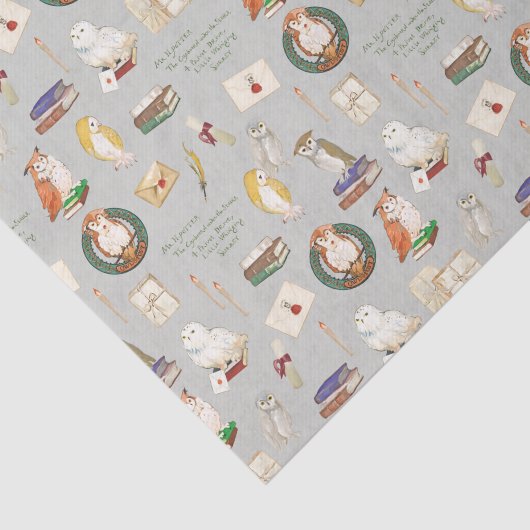 HARRY POTTER™ | Owl Letter Pattern Seidenpapier (Ausschnitt)