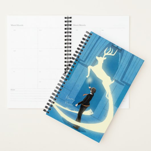 HARRY POTTER™ Patronus-Malerei Planer (Anzeige)