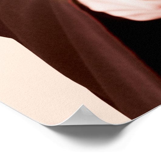 Harry Potter Points Wand Poster (Ecke)