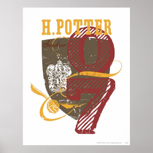 Harry Potter | QUIDDITCH™ Poster (Vorne)