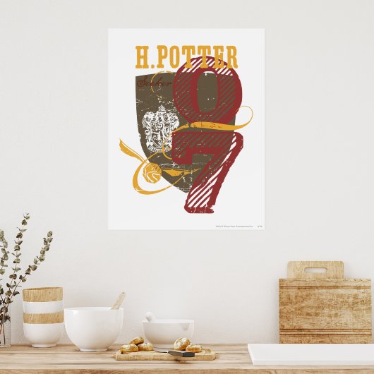 Harry Potter | QUIDDITCH™ Poster (Küche)