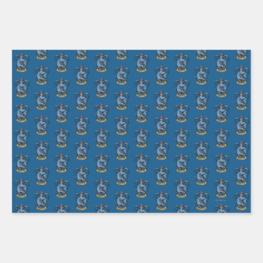 Harry Potter | Rampenbekleidung Geschenkpapier Set (Vorderseite)