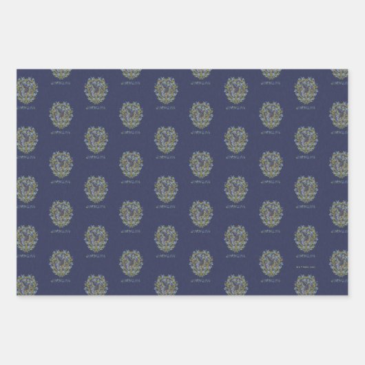 HARRY POTTER™ | RAVENCLAW™ Wappen Geschenkpapier Set (Vorderseite 3)
