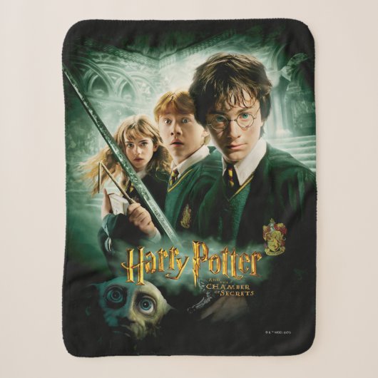 Harry Potter Ron Hermine Dobby Gruppenbild Sherpadecke (Vorderseite)
