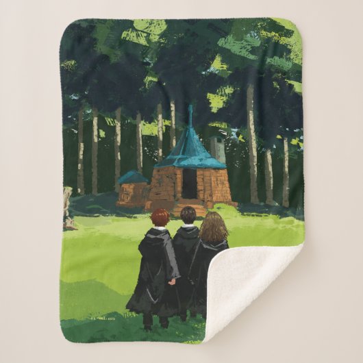 HARRY POTTER™, Ron & Hermione bei Hagrid's Hut Sherpadecke (Vorderseite)